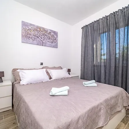 House Bracuta *