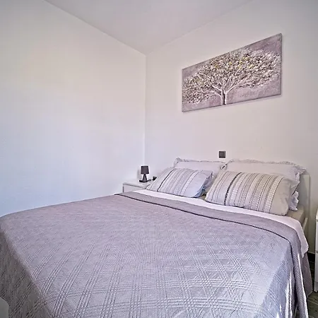 House Bracuta