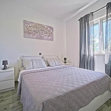 House Bracuta *