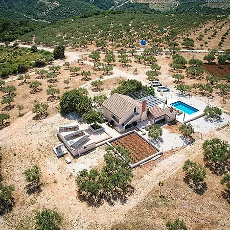 House Bracuta